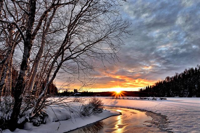 winter-landscape-2995987_1280