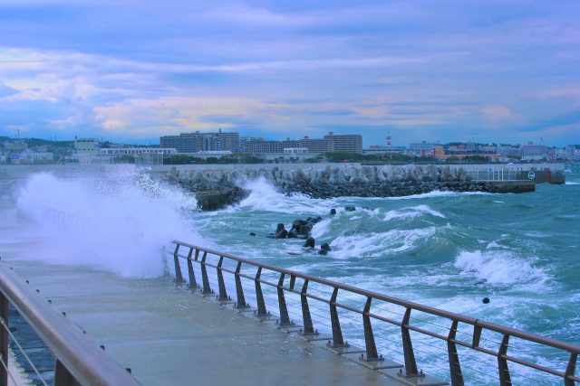 auntmasako-typhoon-1725056