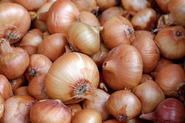 couleur-onions-1397037